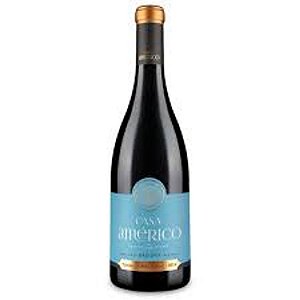Vinho Tinto Casa Americo Red Wine DAO DOP
