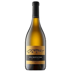 Vinho Branco Rutini Encuentro Chardonnay