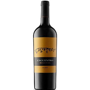 Vinho Tinto Rutini Encuentro Merlot 2022