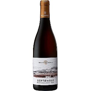 Vinho Tinto Ed Septembre Bourgogne Pinot Noir