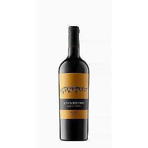 Vinho Tinto Rutini Encuentro Merlot 2021