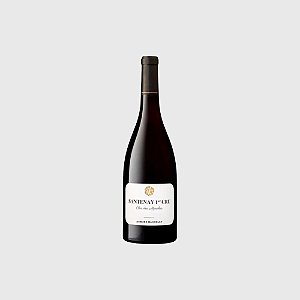 Vinho Tinto Aurore Santenay 1Er Cru Clos Des Mouches