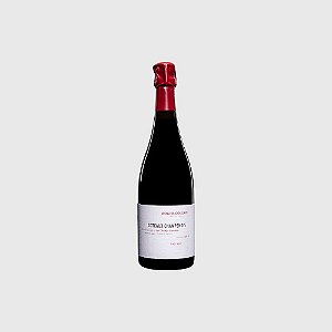 Vinho Tinto Roger Coulon Vrigny Rouge