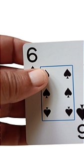 Jogo Baralho Copag em Braille e Letras Ampliadas