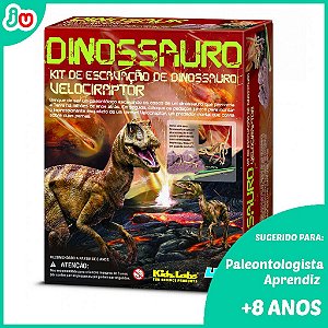 Kit de Escavação de Esqueleto - Velociraptor - 4M