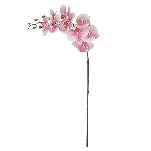 Orquídea Phalaenopsis Real Toque (Haste com 9 Flores) 94cm - Rosa