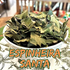 Espinheira Santa