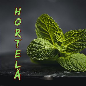 Hortelã