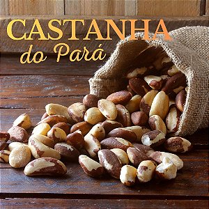 Castanha do Pará