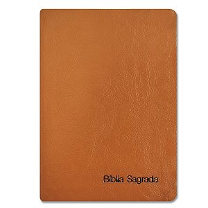 BÍBLIA NVI SLIM Letra normal COMPACTA CAPA LUXO LARANJA BOLSO