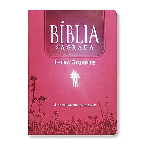 BÍBLIA NTLH065LGI Letra gigante capa pink 2