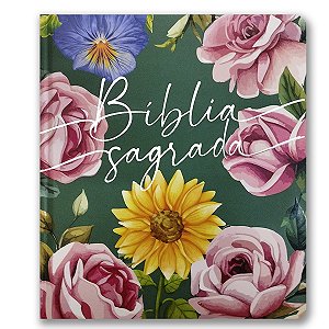 BÍBLIA NVT Letra normal LEIA E ANOTE CAPA DURA ENCANTO DA TARDE