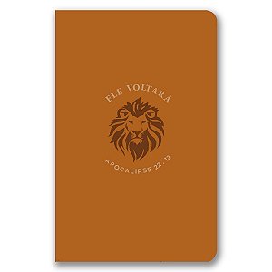 BÍBLIA NVI Leitura perfeita Letra normal  ZÍPER CAPA LUXO LARANJA - ELE VOLTARÁ - Apocalipse 22.12