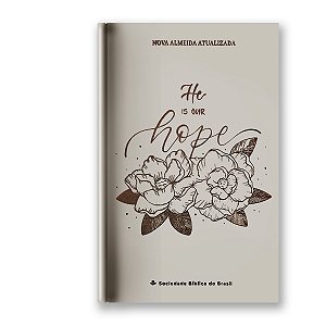 BÍBLIA NA063LG Letra grande CAPA DURA FLOR BEGE