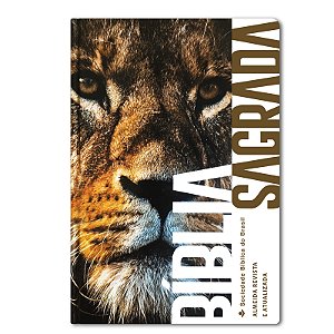 BÍBLIA RA63M Letra normal CAPA DURA ILUSTRADA LEÃO