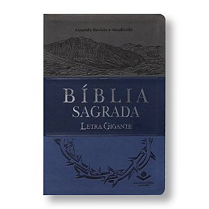 BÍBLIA RA065LGI LETRA GIGANTE CINZA/AZUL/AZUL ESCURO COM ÍNDICE