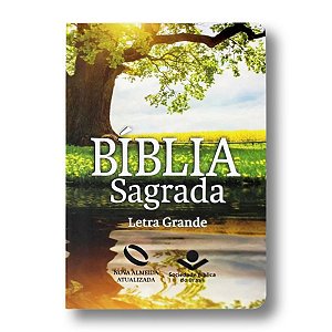 BÍBLIA NA041LG LETRA GRANDE CAPA SEMIFLEXÍVEL REFLEXO