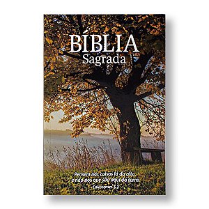 BÍBLIA NA60 edição econômica brochura capa Outono