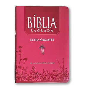 BÍBLIA NTLH065TILGI Letra gigante LUXO PINK 2 ÍNDICE