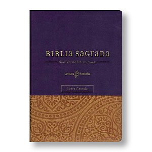 BÍBLIA NVI COM ESPAÇO PARA ANOTAÇÕES (SUA BÍBLIA) - Letra Grande -  capa roxa