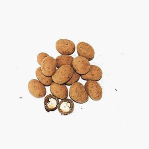 Drageado Castanha do Pará Cacau 70% 100g