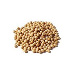 Soja em Grãos 100g