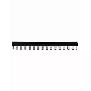 WEG PC-BTWR 2.5/16R Ponte Conectora