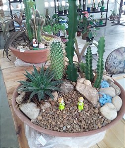 Terrário de plantas grande