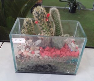 Terrário de plantas em vidro pequeno