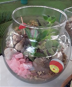 Terrário de plantas em vidro