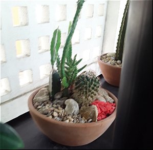 Terrário com mix de plantas