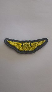 BREVE RPAS EMBORRACHADO (POLÍCIA MILITAR)