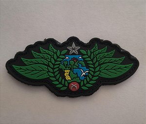 BREVE POLICIAMENTO AMBIENTAL EMBORRACHADO