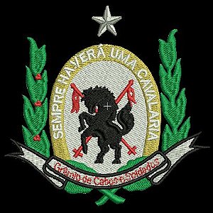 BRASÃO REGIMENTO 9 DE JULHO / CAVALARIA - Militar SP-Artigos Militar