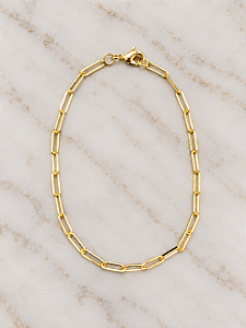 Pulseira Masculina- Semijoia 18k- P234