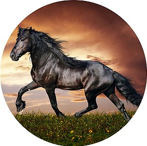 Painel Redondo Tecido Sublimado 3D Cavalo Country WRD-1601