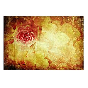 Fundo Fotográfico Tecido Sublimado Newborn 3D Floral 2.20x1.50 WFF-1589