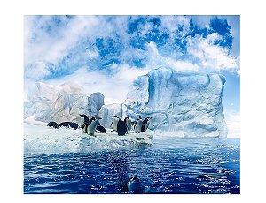 Fundo Fotográfico Tecido Sublimado Gigante 3D Inverno 3,00x2,50 WFG-240
