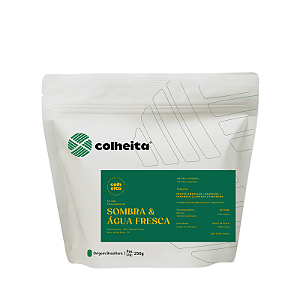 Sombra e Água Fresca