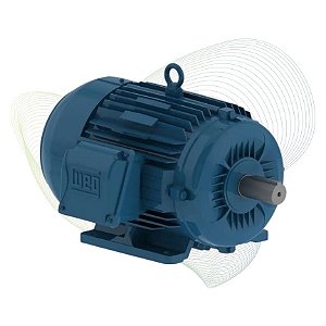 Kit Motor Weg 2.0cv Trifásico IR3 4P 80 IP55 220v Com Chicote Elétrico