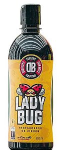 Lady Bug Dub Boyz - Restaurador de Vidros 500ml