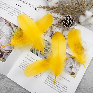 100 Penas de Cegonha Macio - Tam : 15-20cm - Pluma De Cisne Natural COR : AMARELO OURO