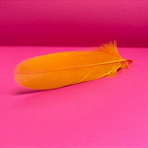 100 Penas de Cegonha Macio - Tam : 15-20cm - Pluma De Cisne Natural COR : LARANJA
