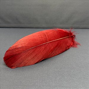 100 Penas de Cegonha Macio - Tam : 15-20cm - Pluma De Cisne Natural Cor:VINHO