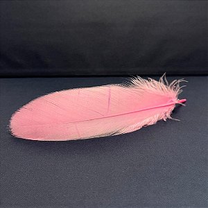 100 Penas de Cegonha Macio - Tam : 15-20cm - Pluma De Cisne Natural Cor:ROSA-BEBE