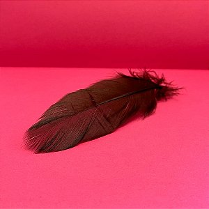 100 Penas de Cegonha Macio - Tam : 15-20cm - Pluma De Cisne Natural Cor:MARROM-ESCURO