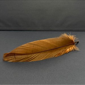 100 Penas de Cegonha Macio - Tam : 15-20cm - Pluma De Cisne Natural Cor:MARROM-CLARO