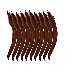 Pena Calda Rabo de Galo Pluma - Pct c/100 unid. - Tam: 25-30cm Cor:MARROM-ESCURO-294