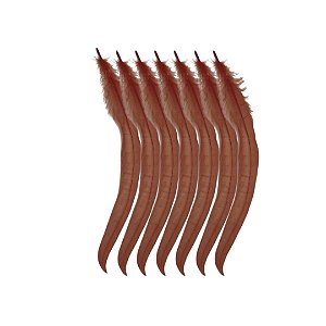 Pena Calda Rabo de Galo Pluma - Pct c/100 unid. - Tam: 25-30cm Cor:MARROM-290