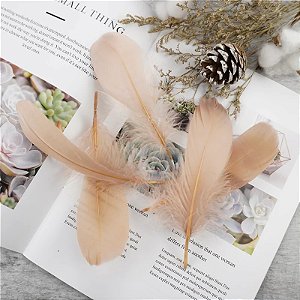 100 Penas de Ganso Macio - Tam : 13-18cm - Pluma De Cisne Natural Cor:BEGE